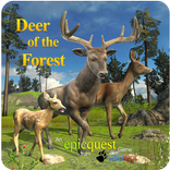 Deer of the Forest