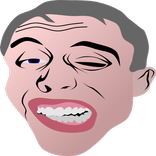 Silly Face Maker