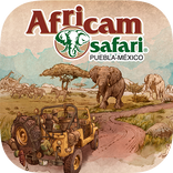 Africam Safari