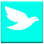 Flying Bird