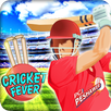 PSL 5 Cricket 2020: Pakistan Super League Season APK