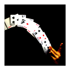 Card Tricks icon