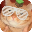 ElrubiusOMG APK