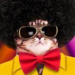 Dancing Cats Simulator