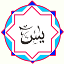 Surah Yasin Arabic English dan Translation APK