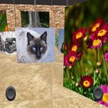 3D Virtual Gallery