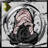 Ninjutsu First Step of Shinobi