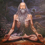 Yogi