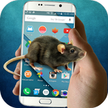Mouse Screen
