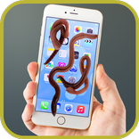 ”Worms On Screen