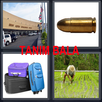 Tanim Bala APK