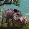 Wild Boar Simulator 3D-APK