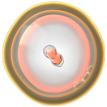 Zygote 3D
