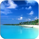 3D Hawaii APK