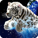 3D Tiger APK