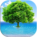 3D Tree APK