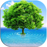 3D Tree