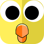 Wild Bird The Jungle Birds HD