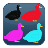 Duck Fly