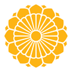 Myanmar National Airlines icon
