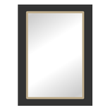 Free Mirror, Samsung Galaxy S2