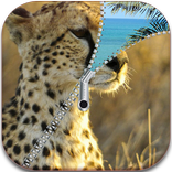 Cheetah Screen Lock