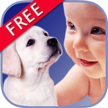 ZOOLA Animals - FREE