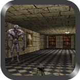 CrossGuns 3D