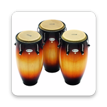 Congas Bongos Percussion