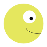 Fisheye Camera 3