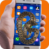 Snake Screen