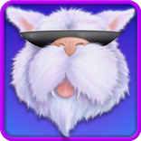 Cool Cat Toys