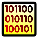 CCNA Binary Exercise