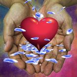 Love test analysis