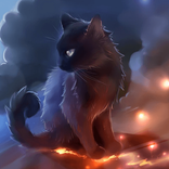 Hello Black Kitty