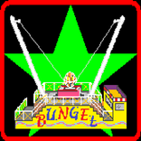 Bungee