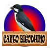 Canto De Bigodinho APK