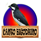 Canto De Bigodinho