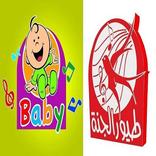 طيور الجنه فيديو