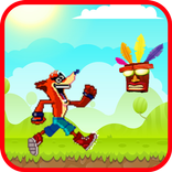Bandicoot Adventure : Box Crash !