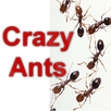 Crazy Ants game APK