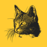 Animals and Sounds - HD animal pictures