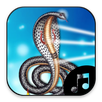 Goga mahara ringtone APK