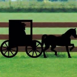 Amish 8 Ball