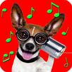 Animal Ringtones APK
