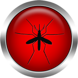 Zika Virus