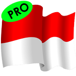 Master Indonesian (PRO)