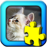 Kucing - teka-teki jigsaw