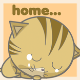 Lost Cat