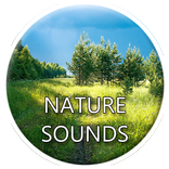 Nature Sounds